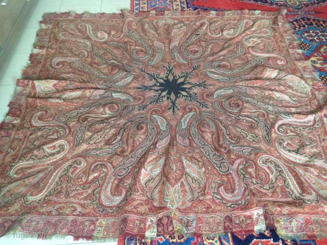 Antique Kashmir 
185cmx170cm                              