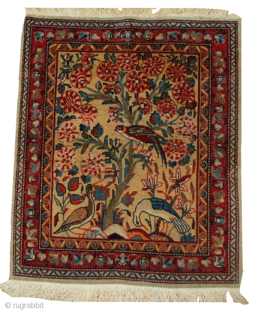 #1B484  Hand made antique Persian Dabir Kashan rug 2,1' x 3,4' ( 64cm x 103cm ) 1890.C
               