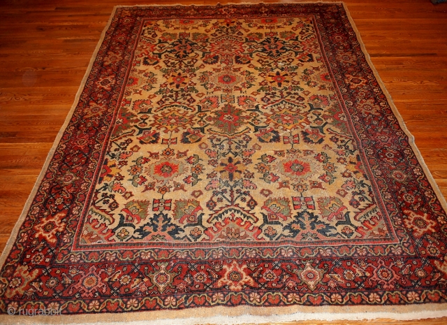 #1B98 Persian "Mahal" rug 7' x 10.4' 1900, in original good condition.                     