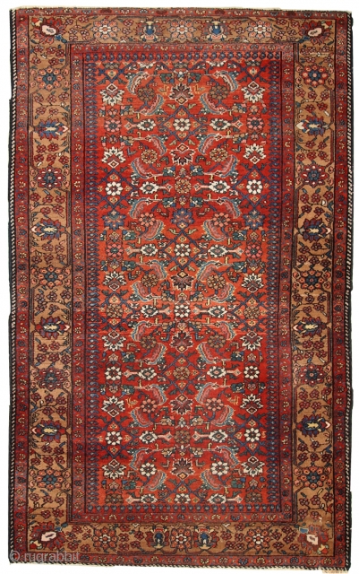 #1C276  Handmade antique Persian Hamadan rug 4.1' x 6.5' ( 126cm x 200cm ) 1920.C
                 