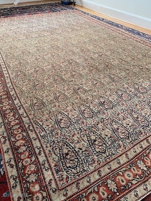 Very finely knotted Senneh from late 19th century in good condition. Its very thin almost like a blanket.
Size: ca 255 x 155 cm          
