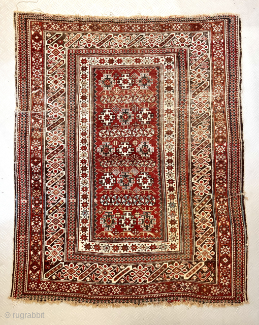 Caucasian Kuba Chi Chi, small