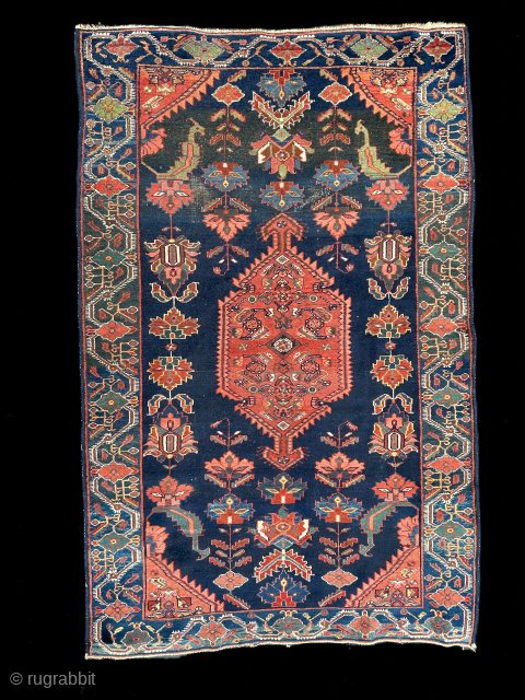 Kurdish Zanjan, 1900-1920, 130x204 cm
ondrej@cityhouse.cz                            