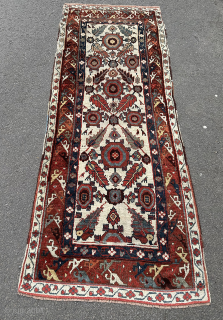 19th century Kurdish long rug with a so called shush kebab design. Good condition.                   