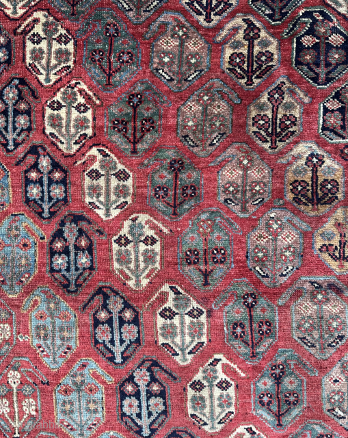Super cute small Afshar rug. 19th century. Lovely colours. Good pile with minor old edge repairs. Email -owenrugs@gmail.com               