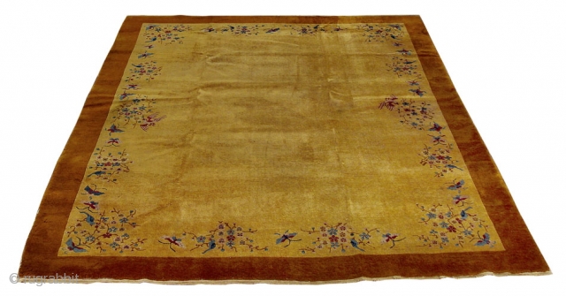 Yellow Ocra Nichols China carpet
Size Cm. 340*270                          