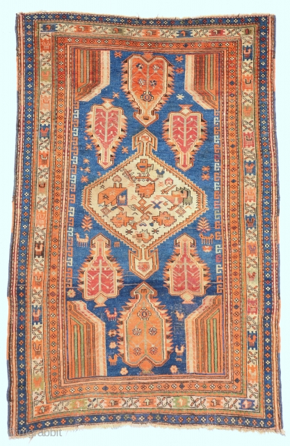 Caucasian Yellow Shirvan (Shikly) rug, end 19th centruy or 1st half 20th century. size is 184 x 122 cm or 6.0 x 4.0 ft         