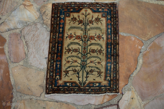 This is a Farahan poshti rug with a unique tree of life design, in perfect full pile condition, and measures 1.10x2.6 FT in size.  the design of this rug is very  ...