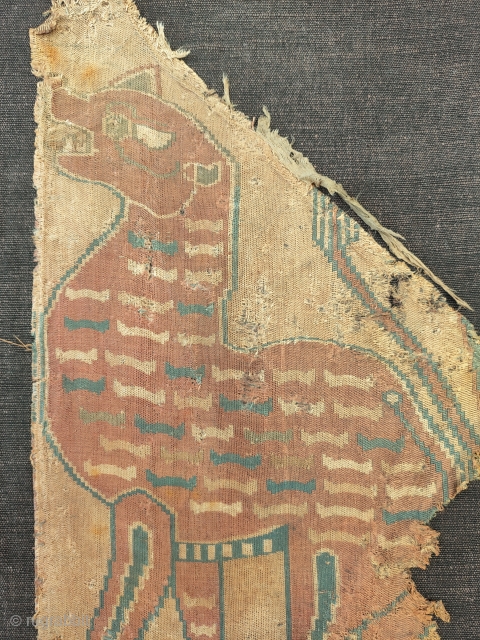 central Asian silk samite fragment 7-8th century, extremly rare tiger design..                      