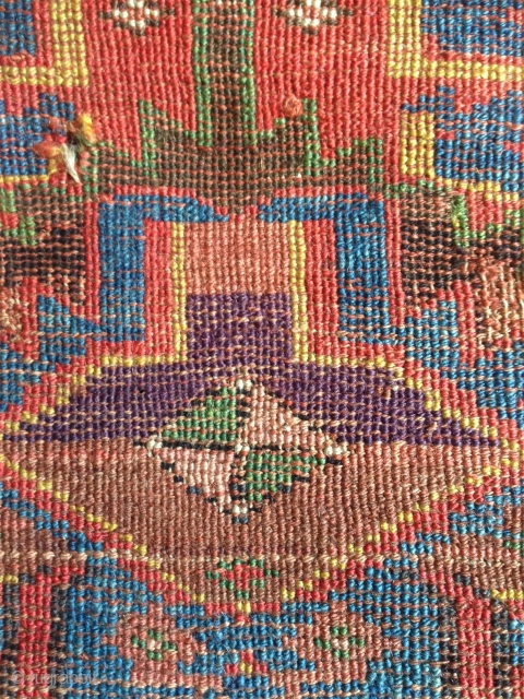 a fantastic north west persian kurdish rug with an incredible richness of colours, an amazing wool. best of type and possibly of the oldest with this design.      