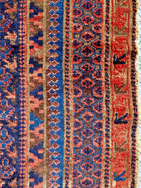 Timuri Baluch rug with the Dokhtar-i-Qazi shrub design. Mid 19th c.                      