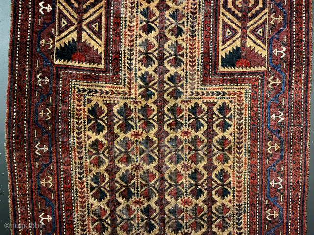 Super fine, early Baluch camel field prayer rug. Mid 19th c. 32 x 58". Ex Anne Halley collection. Very rare border. Good condition but missing selvedges. Please email: patrickpouler@gmail.com