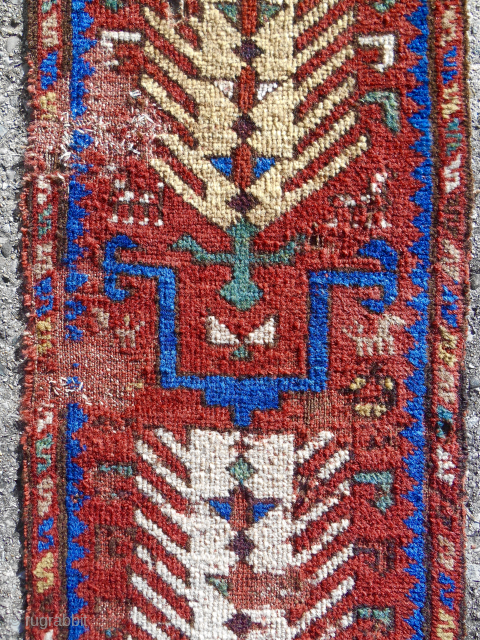 Early Kordi Khorassan rug frag. 13" x 54". The entire field of a narrow rug. Early 19th c. Very thin and fine. Email: patrickpouler@gmail.com         