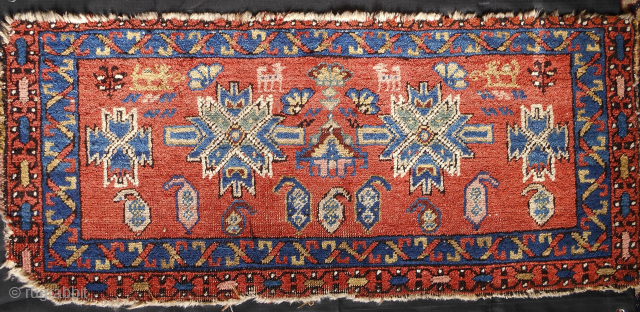 Persian pile mafrash side panel.?? Bijar? never seen another. Excellent condition. All original. Quite good natural color with rare drawing. Heavy and thick. Fresh to the western art market. Email: patrickpouler@gmail.com  