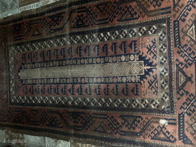 Old Baluch with some issues in the borders and a little hole, unusual pattern
Cm. 149x87
Contact: patri0562@gmail.com
