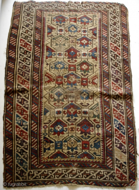 Old Caucasian rug, possibly Derbent/Dagestan. 

146x96 cm/4' 9''x3' 2''                        