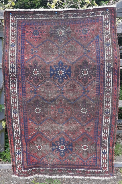 Unusual Baluch/Turkman tribal rug with unique "grapes" motif                         