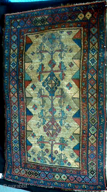 19th century Kurdish/Persian rug in excellent condition.                          