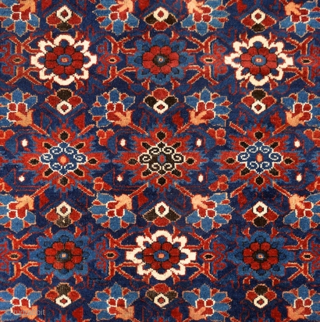 "Why should I be unhappy? Every parcel of my being is in full bloom." Rumi, 13th century, Baluch rug, Ferdows area, North-east Persia, 19th century. Wool on cotton with goat hair side  ...