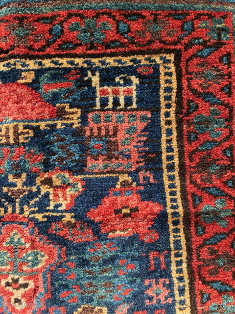 Kurdish pile bag face from north west Persia, 73 x 67 cm, full pile, good condition. Email: peparethos@xsmail.com