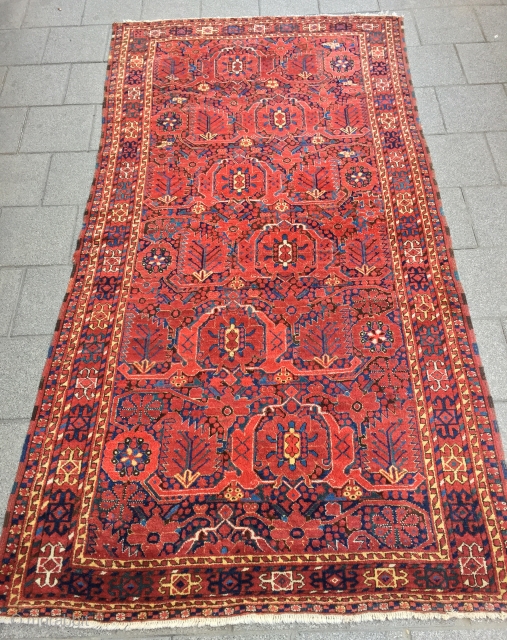 Beshir carpet, size: 2,66 x 1,42 m, generally in good condition with lots of tiny wrinkle wears, endings are redone with cotton.           