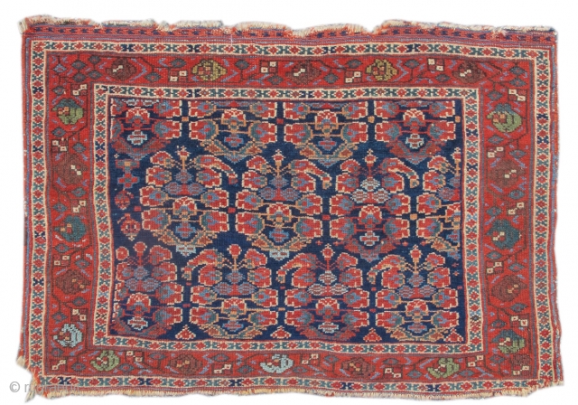 This colorful Afshar bag face draws a familiar theme of 'boteh' paisleys against a deep indigo ground. The botehs here are openly drawn, integrating the blue ground with clusters of flowering buds.  ...