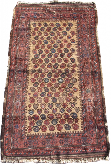 camel ground Baluch rug with stylized botehs, 2'10"x5'0"                         