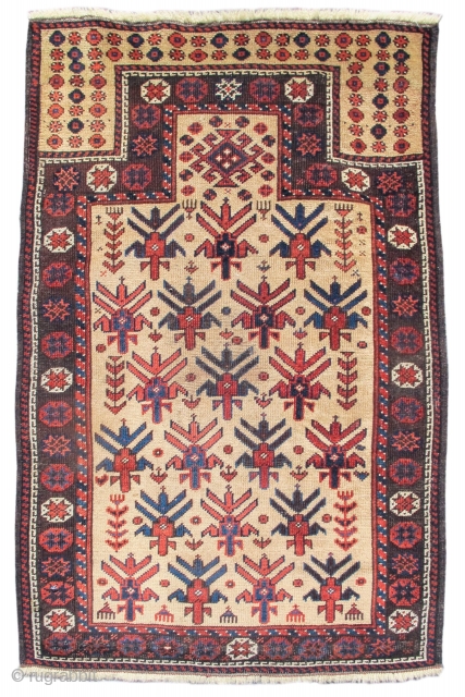 Baluch prayer rug, 2'3"x3'4"                             