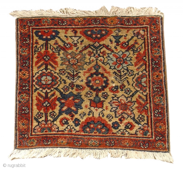 A very pleasant Persian Feraghan bagface with a charming but sophisticated floral design incorporating elements of minakhani with shrubs and an array of blossoms. Excellent natural color as well.

size is 1'4"x1'5"  