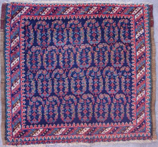 Afshar Bagface with botehs and vivid blue. 2'3" x 2'7". 4th quarter of the 19th century. Inv. #14818.               