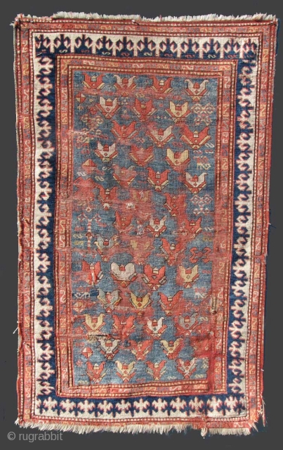 

An old Kazak with an unusual allover design usually associated with the east Caucasus and a beautiful field color. Pleasing to look at even with all its "issues". 122x208cm (4'x6'10")   