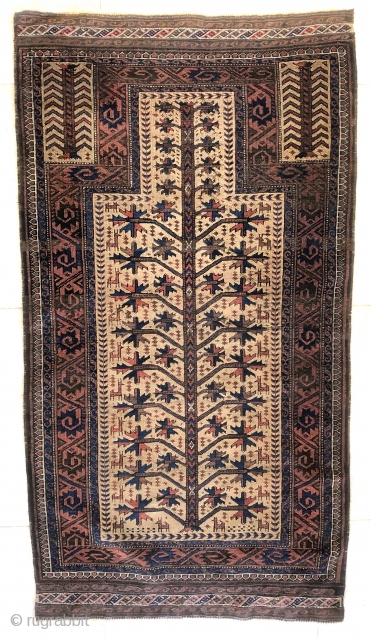 Antique CA. 1875 or earlier majestic tree of life Baluch prayer rug. Excellent condition, very fine weave. Complete original long flat woven kelim ends. The tree of life is rendered in an  ...