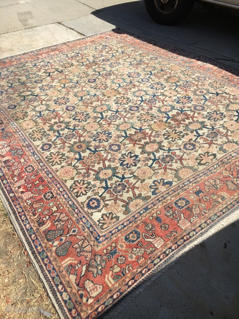 8x10 Antique Sultanabad Persian rug

This is an antique 1880’s Sultanabad rug from late nineteenth century. It is also known as a Mahal rug. These types of rugs are highly regarded and desirable  ...