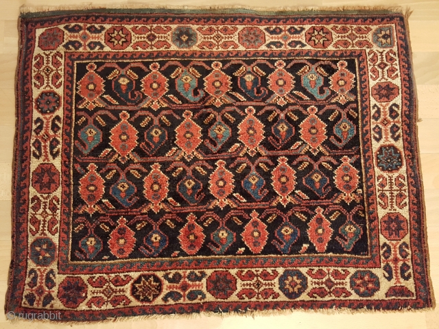 Afshar bagface,all natural color's 
Size 62 x 77 cm                        