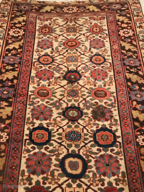 Antique Kurdish carpet 107” x 57” in the in the mina khani design. Wool on wool with flowers on a lattice on ivory ground. Good saturated colors with a with a pleasing  ...