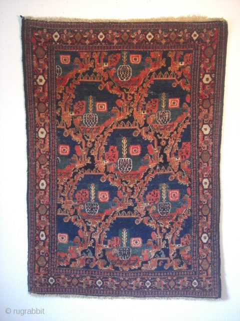 An old Senneh rug. Good shape but moth demages. 144 X 100 cm.                    