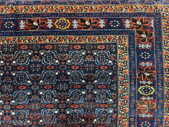 Persia Fine Senneh Rugs  good conditions size 160 x 200 cm                     