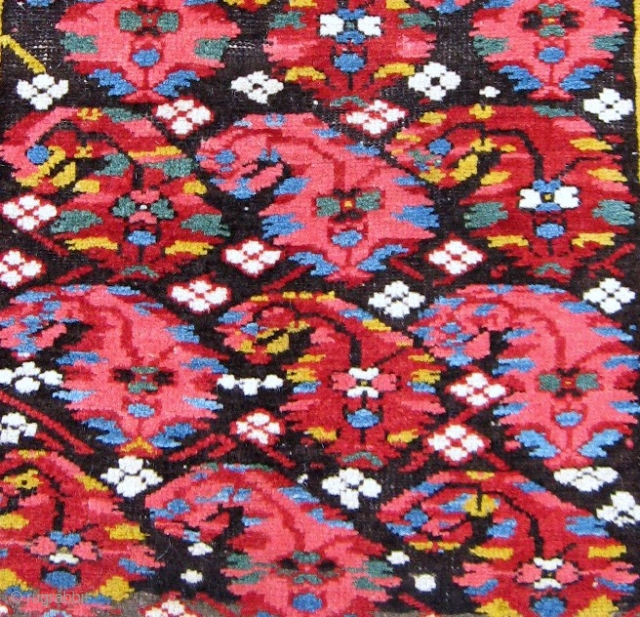 19th C. small Kuba rug, 2'5" x 3'. A most colorful display of botehs on this rare, chunky N.E. Caucasian rug. Two old patches, one 2" x 3" and the other 1  ...