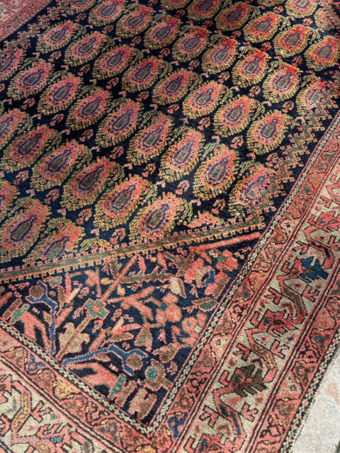 Vintage Afshar Rug – 185 × 135 cm

Beautiful vintage Afshar rug featuring an elegant all-over design of repeating boteh-inspired motifs set against a deep, almost black navy field. The warm red, coral,  ...