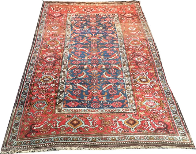 Bidjar rugs and carpets have long had a mystique that makes them a "man's rug". Called the Iron rug of Persia they have an odd feature that few other rugs can match.  ...