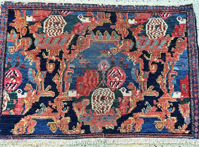 Wagireh Senneh 55x85
                              