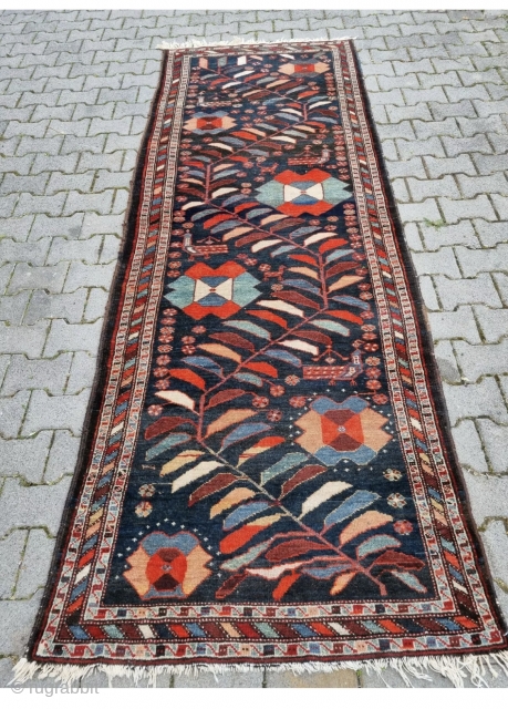 Pure melancholy bakhtiari runner 
Ca. 105 x300                          