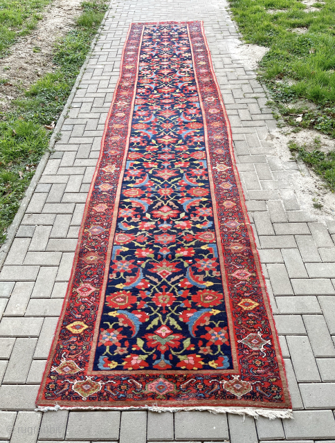 killer Mishan Malayer runner 100x400
Camel hair border
                          