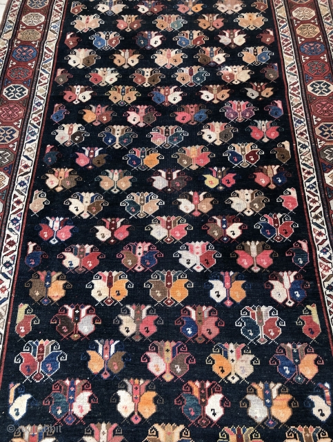 Killer Antique Shirvan Kuba region 
Ca.165x330                           