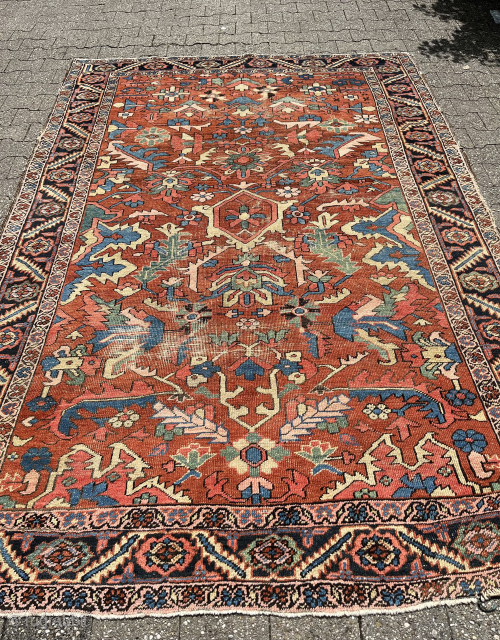 Heriz all over design 1900ish possibly Bakhshayesh superb piece great condition rare size 280x200
2000€ or BO plus shipping               