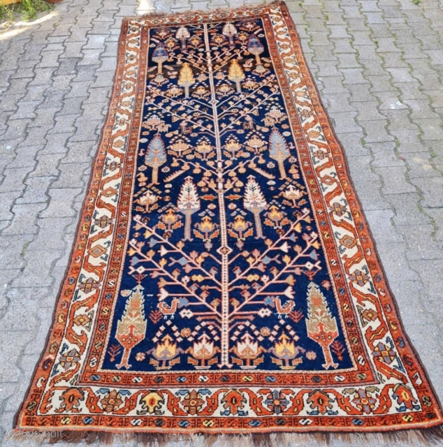 Antique Bakhtiari runner
123x313