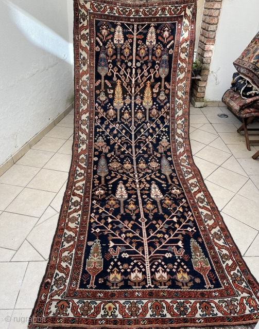 Antique Bakhtiari runner 123x313                             