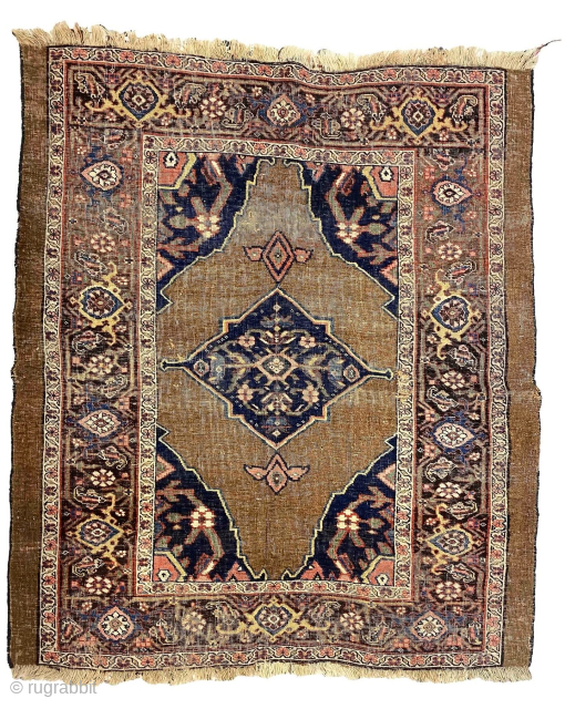 Bidjar 1880ish camel hair ground 158x128
                           