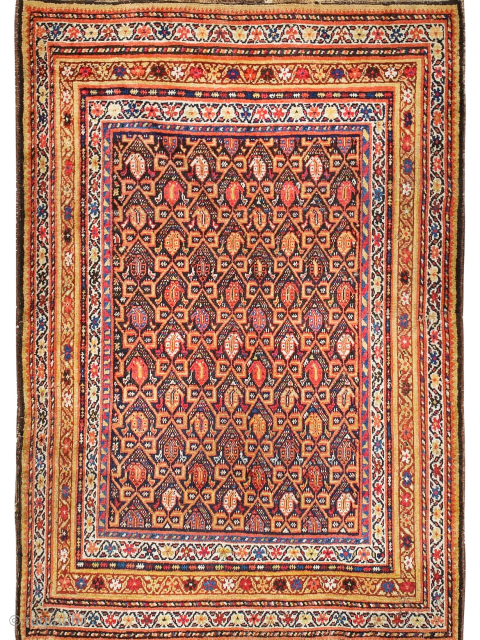 Late 19th century Afshar 175x125 all wool rug                         