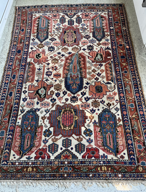 Bakhtiari ghaliche great condition
                             